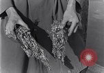 Standbild marine Borer Edgewood Arsenal Maryland USA, 1930, aus Sekunde 31 historischem Filmmaterial Videoclip 65675028369