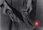 Standbild marine Borer Edgewood Arsenal Maryland USA, 1930, aus Sekunde 33 historischem Filmmaterial Videoclip 65675028369