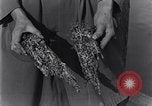 Standbild marine Borer Edgewood Arsenal Maryland USA, 1930, aus Sekunde 34 historischem Filmmaterial Videoclip 65675028369