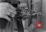 Standbild marine Borer Edgewood Arsenal Maryland USA, 1930, aus Sekunde 37 historischem Filmmaterial Videoclip 65675028369