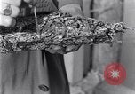 Standbild marine Borer Edgewood Arsenal Maryland USA, 1930, aus Sekunde 38 historischem Filmmaterial Videoclip 65675028369