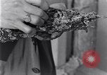 Standbild marine Borer Edgewood Arsenal Maryland USA, 1930, aus Sekunde 43 historischem Filmmaterial Videoclip 65675028369