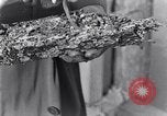 Standbild marine Borer Edgewood Arsenal Maryland USA, 1930, aus Sekunde 44 historischem Filmmaterial Videoclip 65675028369