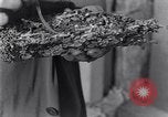 Standbild marine Borer Edgewood Arsenal Maryland USA, 1930, aus Sekunde 45 historischem Filmmaterial Videoclip 65675028369