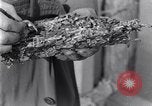 Standbild marine Borer Edgewood Arsenal Maryland USA, 1930, aus Sekunde 50 historischem Filmmaterial Videoclip 65675028369