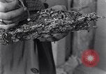 Standbild marine Borer Edgewood Arsenal Maryland USA, 1930, aus Sekunde 51 historischem Filmmaterial Videoclip 65675028369