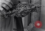 Standbild marine Borer Edgewood Arsenal Maryland USA, 1930, aus Sekunde 52 historischem Filmmaterial Videoclip 65675028369