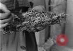 Standbild marine Borer Edgewood Arsenal Maryland USA, 1930, aus Sekunde 53 historischem Filmmaterial Videoclip 65675028369