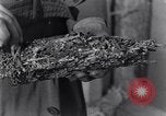 Standbild marine Borer Edgewood Arsenal Maryland USA, 1930, aus Sekunde 54 historischem Filmmaterial Videoclip 65675028369