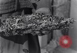 Standbild marine Borer Edgewood Arsenal Maryland USA, 1930, aus Sekunde 55 historischem Filmmaterial Videoclip 65675028369