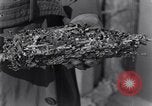 Standbild marine Borer Edgewood Arsenal Maryland USA, 1930, aus Sekunde 56 historischem Filmmaterial Videoclip 65675028369