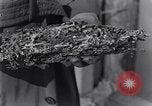 Standbild marine Borer Edgewood Arsenal Maryland USA, 1930, aus Sekunde 57 historischem Filmmaterial Videoclip 65675028369