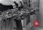 Standbild marine Borer Edgewood Arsenal Maryland USA, 1930, aus Sekunde 58 historischem Filmmaterial Videoclip 65675028369