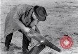 Standbild marine Borer Edgewood Arsenal Maryland USA, 1930, aus Sekunde 61 historischem Filmmaterial Videoclip 65675028369