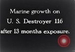 Standbild marine Borer Maryland United States USA, 1930, aus Sekunde 29 historischem Filmmaterial Videoclip 65675028370