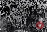 Standbild marine Borer Maryland United States USA, 1930, aus Sekunde 52 historischem Filmmaterial Videoclip 65675028370