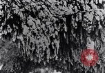 Standbild marine Borer Maryland United States USA, 1930, aus Sekunde 57 historischem Filmmaterial Videoclip 65675028370