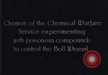 Standbild Boll Weevil United States USA, 1930, aus Sekunde 11 historischem Filmmaterial Videoclip 65675028372