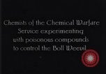 Standbild Boll Weevil United States USA, 1930, aus Sekunde 13 historischem Filmmaterial Videoclip 65675028372