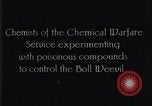 Standbild Boll Weevil United States USA, 1930, aus Sekunde 14 historischem Filmmaterial Videoclip 65675028372