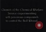 Standbild Boll Weevil United States USA, 1930, aus Sekunde 15 historischem Filmmaterial Videoclip 65675028372