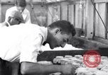 Standbild Boll Weevil United States USA, 1930, aus Sekunde 18 historischem Filmmaterial Videoclip 65675028372