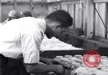 Standbild Boll Weevil United States USA, 1930, aus Sekunde 19 historischem Filmmaterial Videoclip 65675028372