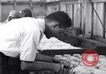 Standbild Boll Weevil United States USA, 1930, aus Sekunde 20 historischem Filmmaterial Videoclip 65675028372