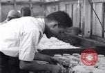 Standbild Boll Weevil United States USA, 1930, aus Sekunde 21 historischem Filmmaterial Videoclip 65675028372