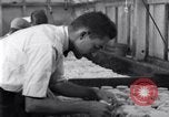 Standbild Boll Weevil United States USA, 1930, aus Sekunde 22 historischem Filmmaterial Videoclip 65675028372