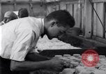 Standbild Boll Weevil United States USA, 1930, aus Sekunde 23 historischem Filmmaterial Videoclip 65675028372