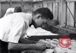 Standbild Boll Weevil United States USA, 1930, aus Sekunde 25 historischem Filmmaterial Videoclip 65675028372