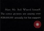 Standbild Boll Weevil United States USA, 1930, aus Sekunde 26 historischem Filmmaterial Videoclip 65675028372