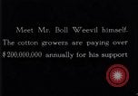 Standbild Boll Weevil United States USA, 1930, aus Sekunde 27 historischem Filmmaterial Videoclip 65675028372