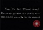 Standbild Boll Weevil United States USA, 1930, aus Sekunde 28 historischem Filmmaterial Videoclip 65675028372