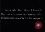Standbild Boll Weevil United States USA, 1930, aus Sekunde 29 historischem Filmmaterial Videoclip 65675028372