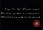 Standbild Boll Weevil United States USA, 1930, aus Sekunde 30 historischem Filmmaterial Videoclip 65675028372