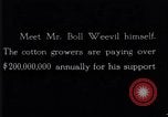 Standbild Boll Weevil United States USA, 1930, aus Sekunde 31 historischem Filmmaterial Videoclip 65675028372