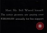 Standbild Boll Weevil United States USA, 1930, aus Sekunde 32 historischem Filmmaterial Videoclip 65675028372