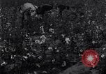 Standbild Boll Weevil United States USA, 1930, aus Sekunde 57 historischem Filmmaterial Videoclip 65675028372