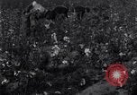 Standbild Boll Weevil United States USA, 1930, aus Sekunde 58 historischem Filmmaterial Videoclip 65675028372