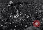 Standbild Boll Weevil United States USA, 1930, aus Sekunde 59 historischem Filmmaterial Videoclip 65675028372