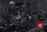 Standbild Boll Weevil United States USA, 1930, aus Sekunde 60 historischem Filmmaterial Videoclip 65675028372