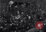 Standbild Boll Weevil United States USA, 1930, aus Sekunde 61 historischem Filmmaterial Videoclip 65675028372