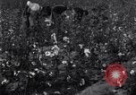 Standbild Boll Weevil United States USA, 1930, aus Sekunde 62 historischem Filmmaterial Videoclip 65675028372