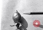 Standbild Boll Weevil United States USA, 1930, aus Sekunde 40 historischem Filmmaterial Videoclip 65675028373