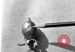 Standbild Boll Weevil United States USA, 1930, aus Sekunde 41 historischem Filmmaterial Videoclip 65675028373