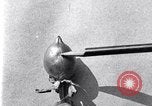 Standbild Boll Weevil United States USA, 1930, aus Sekunde 42 historischem Filmmaterial Videoclip 65675028373