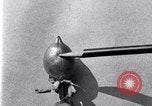 Standbild Boll Weevil United States USA, 1930, aus Sekunde 43 historischem Filmmaterial Videoclip 65675028373