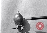 Standbild Boll Weevil United States USA, 1930, aus Sekunde 44 historischem Filmmaterial Videoclip 65675028373
